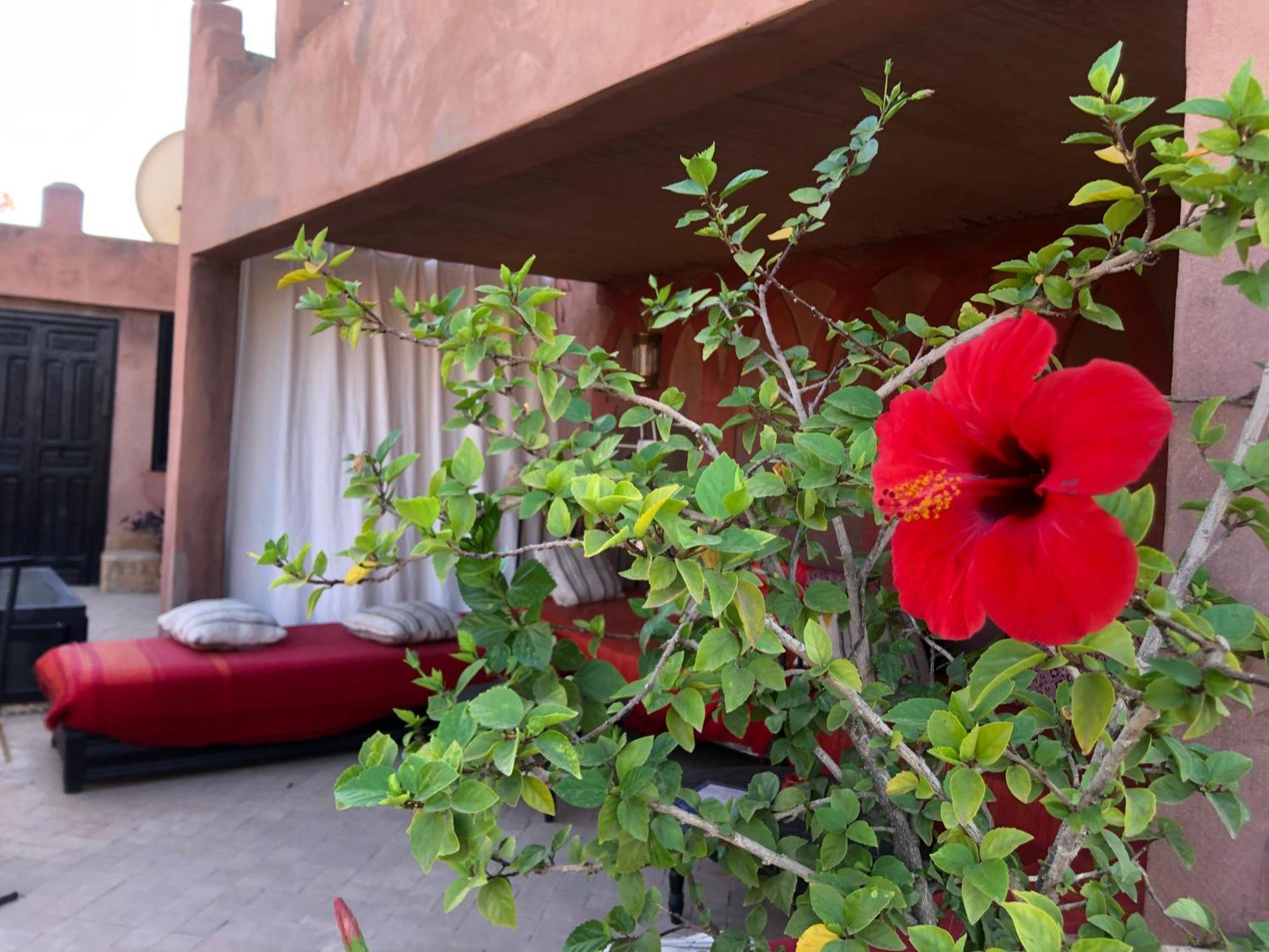 Hotel Dar Fangui Marrakesh Exterior foto